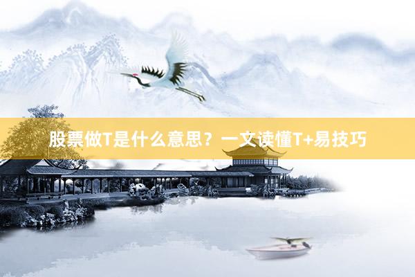 股票做T是什么意思？一文读懂T+易技巧