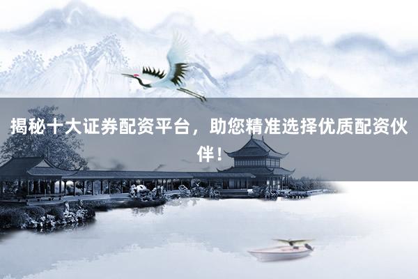 揭秘十大证券配资平台，助您精准选择优质配资伙伴！