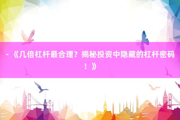 - 《几倍杠杆最合理？揭秘投资中隐藏的杠杆密码！》
