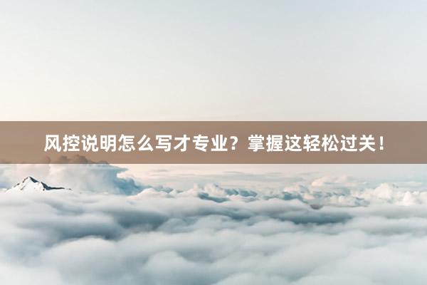 风控说明怎么写才专业？掌握这轻松过关！