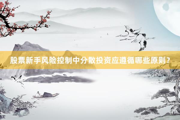 股票新手风险控制中分散投资应遵循哪些原则?