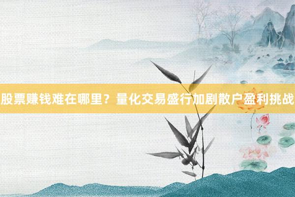 股票赚钱难在哪里？量化交易盛行加剧散户盈利挑战