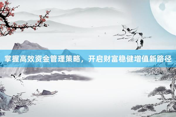 掌握高效资金管理策略，开启财富稳健增值新路径