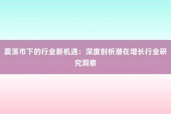震荡市下的行业新机遇：深度剖析潜在增长行业研究洞察