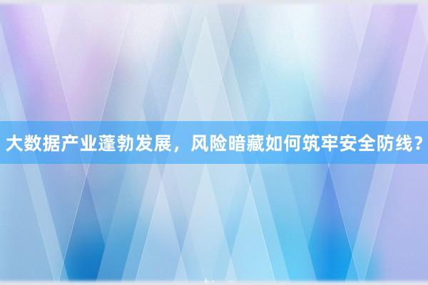大数据产业蓬勃发展，风险暗藏如何筑牢安全防线？