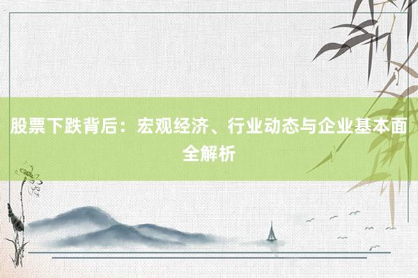 股票下跌背后：宏观经济、行业动态与企业基本面全解析