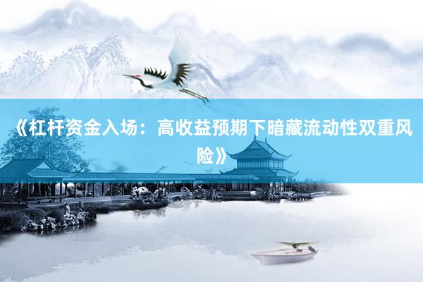 《杠杆资金入场：高收益预期下暗藏流动性双重风险》