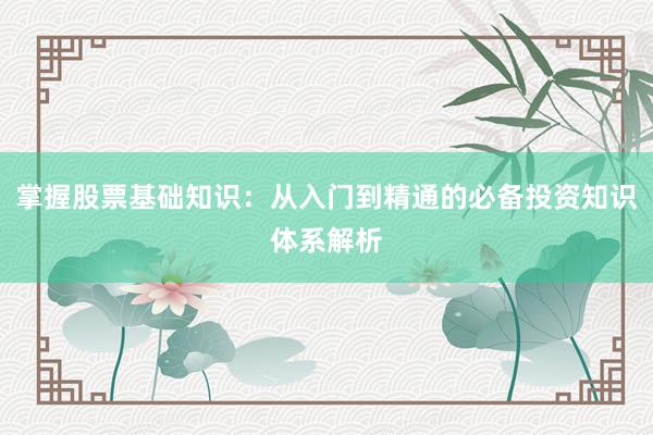 掌握股票基础知识：从入门到精通的必备投资知识体系解析