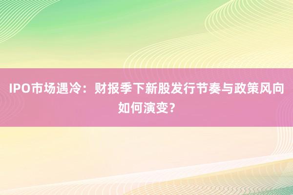 IPO市场遇冷：财报季下新股发行节奏与政策风向如何演变？