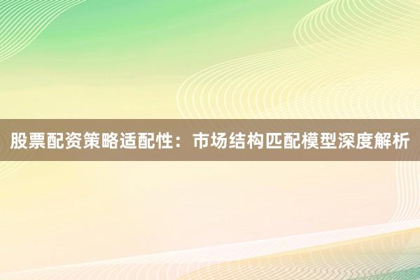 股票配资策略适配性：市场结构匹配模型深度解析